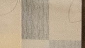 Madre de dos hijos muere de Covid, después de demandar a hospital de Florida por no recibir tratamiento con ivermectina