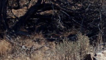 Foto lateral del nuevo CX-50 de Mazda