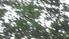 México crea un batallón de seguridad turística de la Guardia Nacional para proteger los resorts más visitados