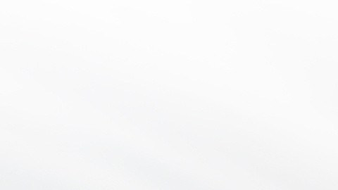 Foto del Tesla Model Y