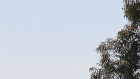 Mueren 19 en choque de la México Puebla.