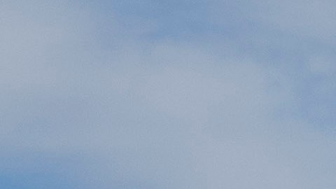 Foto de los nuevos modelos de Ford Mustang