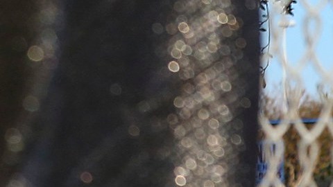 Niño de 9 años herido en el Festival Astroworld falleció, lo que eleva a 10 el número de muertos