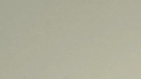 Activistas piden el apoyo de la comunidad para presionar a los demócratas.