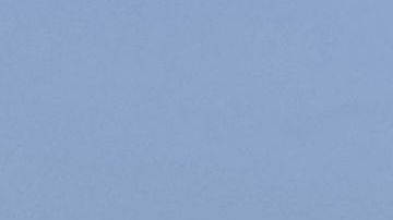 Pasajera borracha golpeó a una asistente de vuelo y tiró del cabello de una azafata antes de ser retenida con bridas