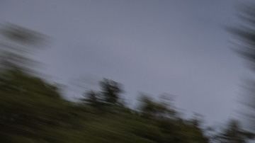 Foto lateral del Peugeot 308 en carretera