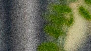 Pfizer permitirá que su píldora Covid se fabrique y venda a bajo precio en países pobres