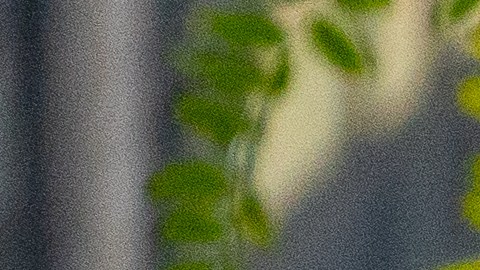 Pfizer permitirá que su píldora Covid se fabrique y venda a bajo precio en países pobres