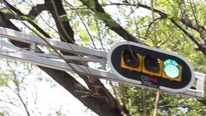 Presunta venganza del Mencho.