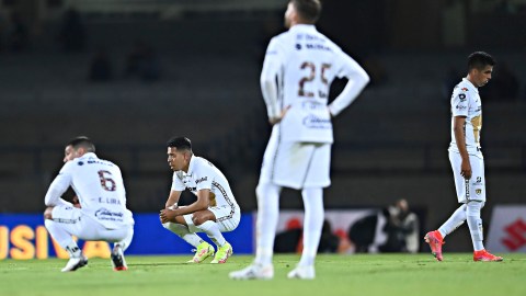 Pumas de la UNAM