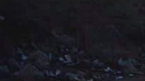 Roban cuerpo de hijo de mujer en cementerio.