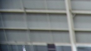 Producción de cerveza en México se mantiene a la alza.