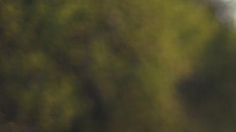 Cada signo zodiacal expresa a su estilo su agradecimiento con otras personas.