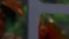 Alicia Machado y Manelyk González se abrazan en la final de 'La Casa de los Famosos'.