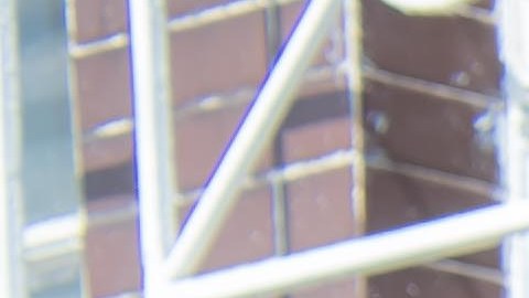 Andrés Palacios, Eva Cedeño y Gabriel Soto