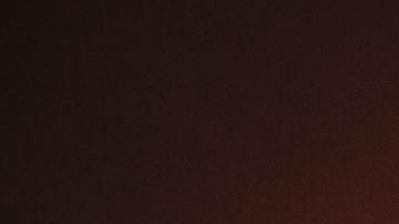 El árbol de Navidad representa al elemento madera en el Feng Shui.