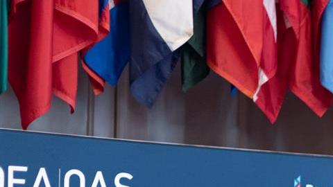 Chile promueve en la OEA creación de tratado para enfrentar futuras pandemias