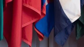 Chile promueve en la OEA creación de tratado para enfrentar futuras pandemias