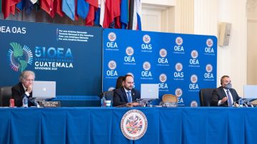 Chile promueve en la OEA creación de tratado para enfrentar futuras pandemias