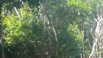 Nerea Godínez recuerda cuando Octavio Ocaña durmió a su lado en su casa en medio de la selva