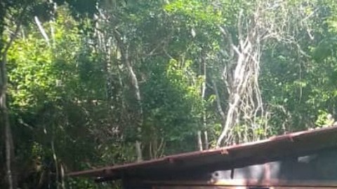 Nerea Godínez recuerda cuando Octavio Ocaña durmió a su lado en su casa en medio de la selva