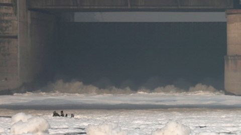 VIDEO: Espuma tóxica cubre uno de los ríos más importantes de la India
