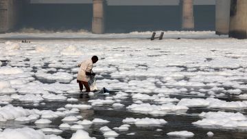 VIDEO: Espuma tóxica cubre uno de los ríos más importantes de la India