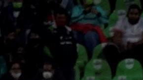 Santos Laguna se verá en la Liguilla con Tigres.