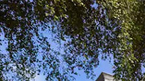 Conoce por dentro la espectacular mansión que Daddy Yankee está alquilando en Airbnb