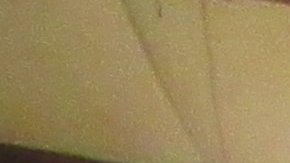 La Policía Estatal de Oregon decomisó uno de los mayores alijos de marihuana ilegal en el estado.