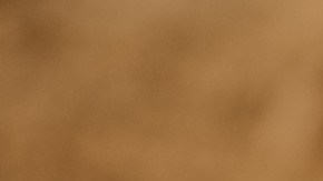 Descubren esqueleto de nueva especie de dinosaurio en Missouri