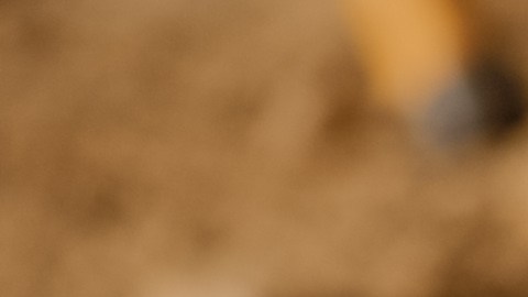 Descubren esqueleto de nueva especie de dinosaurio en Missouri