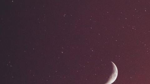 El eclipse lunar del 19 de noviembre impactará en el aspecto terrenal de los signos al ocurrir en Tauro.