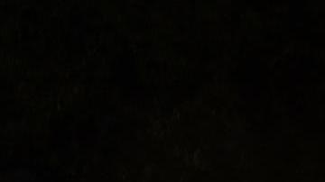 Al menos 8 personas han muerto y decenas más recultaron heridas.