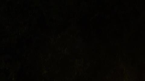 Al menos 8 personas han muerto y decenas más recultaron heridas.