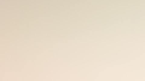 El mejor día de noviembre hará sentir a tu signo zodiacal positivo y podrá avanzar en sus proyectos.
