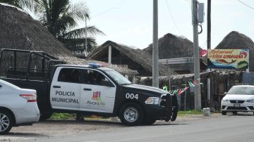 Policías custodian la fosa clandestina en el municipio de Alvarado, en Veracruz.