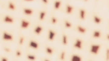 Gael García Bernal sonriendo