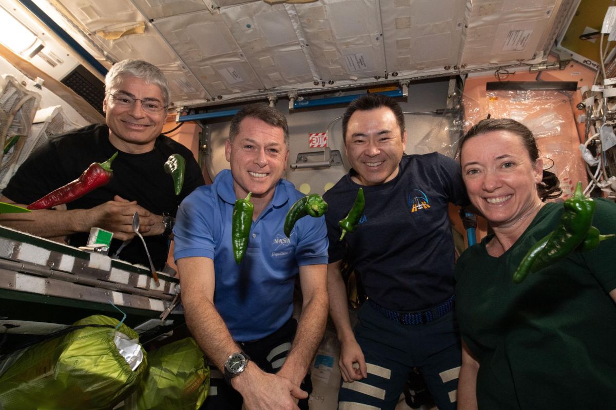 Astronautas cultivan chiles-NASA