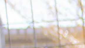 Joe Exotic con un tigre