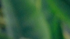 Karina Banda y Carlos Ponce compiten en el primetime hispano.