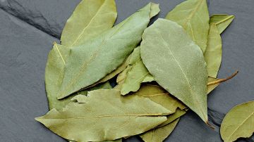 Los rituales con hojas de laurel, planta que simboliza éxito, son sencillos y poderosos.