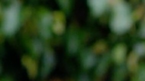 David Zepeda y Susana González besándose en telenovela