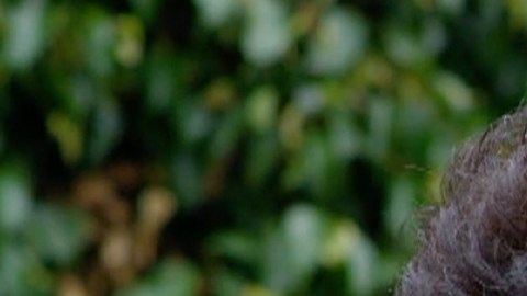 David Zepeda y Susana González besándose en telenovela