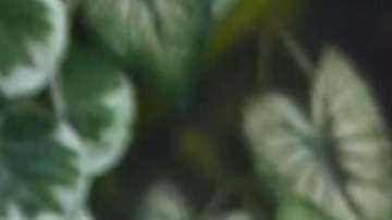 Pablo Montero sonriendo