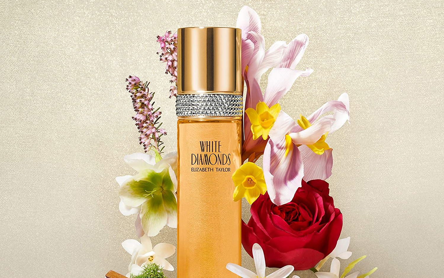 Las mejores ofertas del Black Friday en perfumes para hombre y mujer - La  Opinión