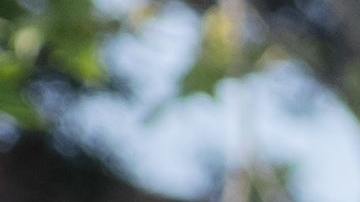 Foto de un agente de policía solicitando la licencia de conducir a una persona