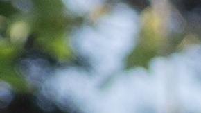 Foto de una oficial de