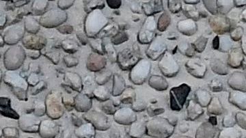 Pfizer dice que su pastilla contra el Covid-19 reduce el riesgo de hospitalizaciones y muertes