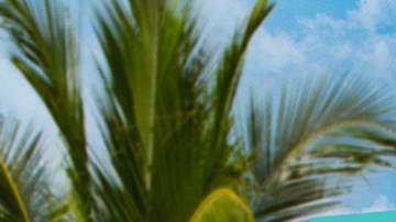 Estreno de 'Por Amor o Por Dinero' y 'Hercai 2' en Telemundo.